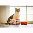 Kat Natvoer Powertöpfchen 810g 6 Stuk -3- Anifit